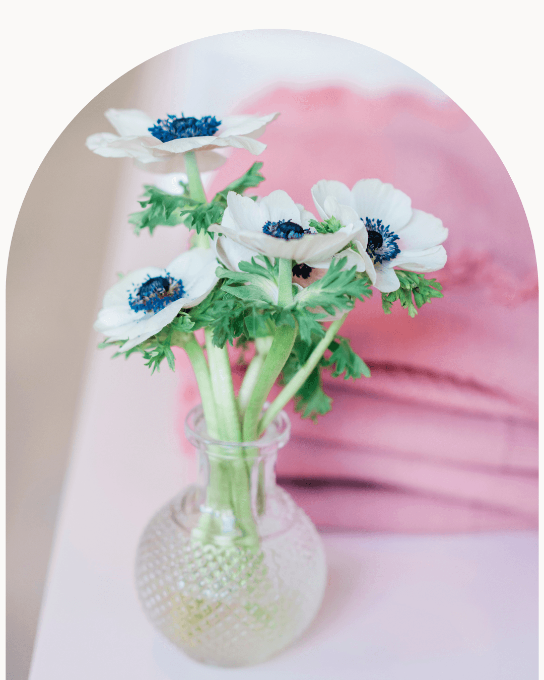Fine art print by Razia Jukes — still life flowers